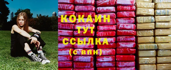 дживик Няндома