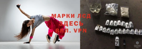 сатива Белая Холуница