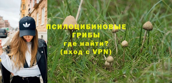 дживик Няндома