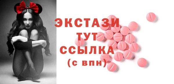 дживик Няндома