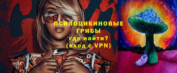 экстази Бежецк