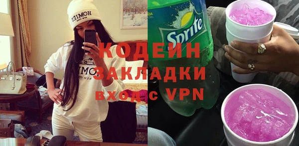 дживик Няндома