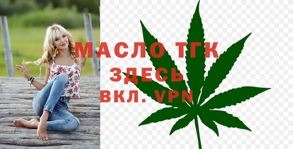 дживик Няндома